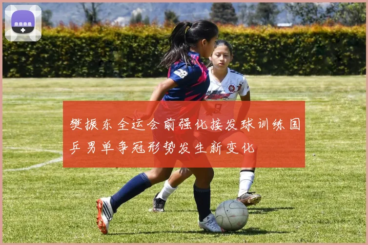 樊振东全运会前强化接发球训练国乒男单争冠形势发生新变化
