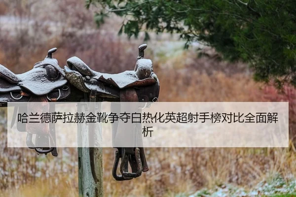 哈兰德萨拉赫金靴争夺白热化英超射手榜对比全面解析